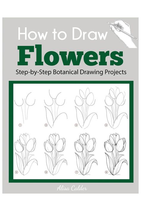 How to Draw Flowers: Step-by-Step Botanical Drawing Projects is perfect for beginners who want to quickly gain a sense of mastery in their drawing. Suitable for children, teens, and adults who want to practice and improve their drawing skills. Contains more than 75easy-to-follow drawing tutorials that will teach you how to draw many types of flowers, plants, leaves, trees, fruits, and vegetables. Each step-by-step tutorial will guide you from the first step to the finished drawing. Learn To Draw Flowers, How To Draw Flowers, Beginner Drawing, Botanical Line Drawing, Draw Flowers, Drawing Guides, Botanical Drawing, Plants Leaves, Flower Drawing Tutorials