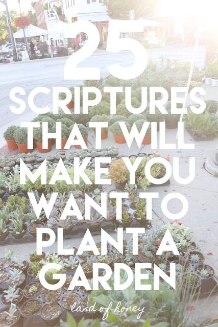 Faith Garden, Gardening Quotes Inspirational, Garden Basics, Biblical Garden, Bible Garden, Spiritual Garden, Preschool Garden, Prayer Garden, Tattoo Plant