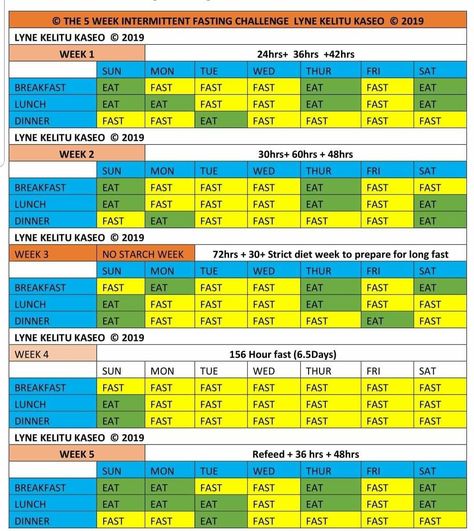 Intermittent Diet, Fasting Schedule, Fasting Diet Plan, Intermittent Fasting Diet, Biology Facts, Eating Fast, Diet Chart, Workout Plan For Women, Eat Lunch