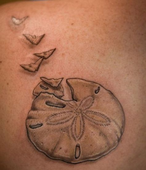 Small Wing Tattoos, Sand Dollar Tattoo, Dollar Tattoo, Beachy Tattoos, Starfish Tattoo, Tattoos Pinterest, Seashell Tattoos, Shell Tattoos, Ocean Tattoos