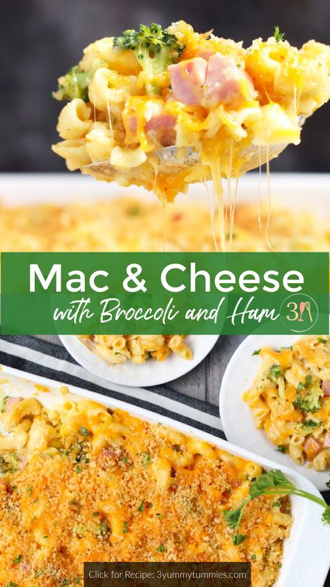 This Fancy Mac and Cheese with Broccoli and Ham is a complete meal in one. Plenty of white and sharp cheddar cheese and a crispy, bread crumb topping make this a delectable meal that everyone in the family will enjoy. Broccoli Ham Mac And Cheese, Ham And Mac And Cheese Casserole, Mac And Cheese And Ham, Ham And Broccoli Mac And Cheese, Ham Mac N Cheese, Macaroni And Cheese With Broccoli, Mac N Cheese With Ham, Baked Mac And Cheese With Ham, Mac And Cheese Casserole With Meat