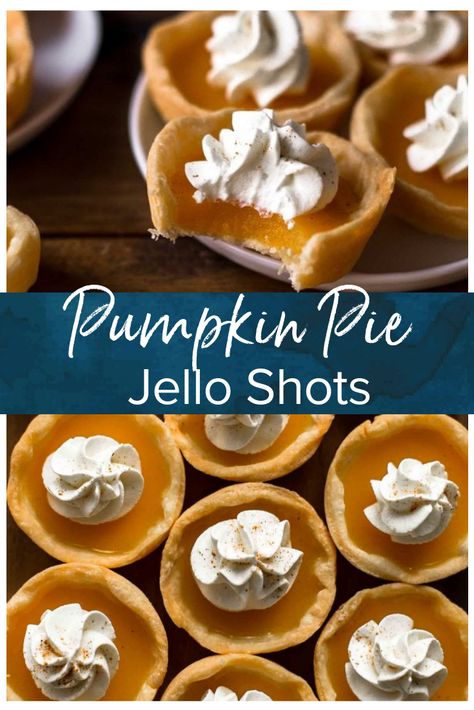 Jello Shots Ideas, Pumpkin Pie Shots, Thanksgiving Jello, Cherry Jello Shots, Easy Jello Shots, Best Jello Shots, Jello Pudding Shots, Halloween Jello Shots, Halloween Jello