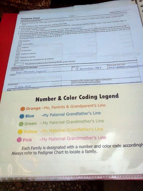 Family History Binder, Family History Organization, Photo Organizing, Family History Projects, Genealogy Organization, Genealogy Search, Family Tree Research, Genealogy Help, Ancestry Family Tree