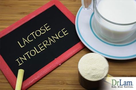 Casein in Milk Friend or Foe? Should You Drink Milk? Learn More Dairy Intolerance Symptoms, Casein Protein Recipes, Easy Protein Meals, Dairy Intolerance, Dairy Free Protein, Dairy Allergy, Milk Allergy, Casein Protein, Lactose Intolerant