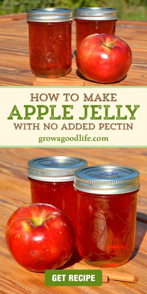 Spiced Apple Jelly, Apple Jelly Recipe, Homemade Apple Juice, Canning Apples, Apple Jelly, Jam Recipes Homemade, Canning Jam, Homemade Jelly, Jelly Recipe