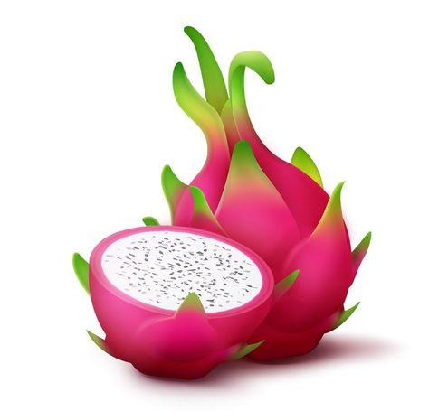 Dragon Fruit Vector, Fruit Logo Design Ideas, Pink Dragon Fruit, Fruit Logo Design, Timeless Logo Design, Fruit Logo, Wellness Shots, Pink Fruit, Beautiful Logos Design