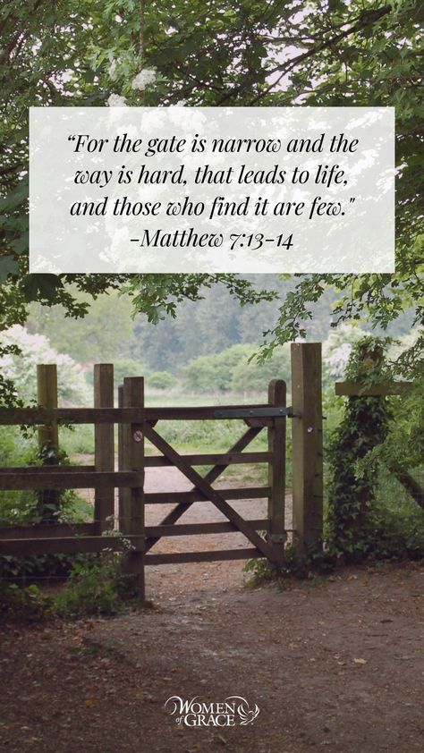 “Enter by the narrow gate; for the gate is wide and the way is easy, that leads to destruction, and those who enter by it are many. For the gate is narrow and the way is hard, that leads to life, and those who find it are few." -Matthew 7:13-14 Narrow Is The Gate, Enter Through The Narrow Gate, The Narrow Gate, Christian Encouragement, Scripture Quotes, Pilgrimage, Find It, No Way, Beautiful World