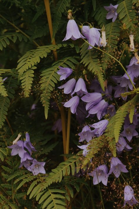 Witchy Woodland Aesthetic, Witchy Garden Aesthetic, Signa Farrow, Therapy Business, Enchanted Wood, Forest Plants, Baldurs Gate, Nature Spirits, Forest Spirit