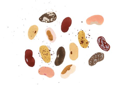 Beans Drawing, Bean Illustration, Beans Illustration, Bean Drawing, Soy Beans, Pinto Beans, Plant Protein, Red Beans, Children’s Books