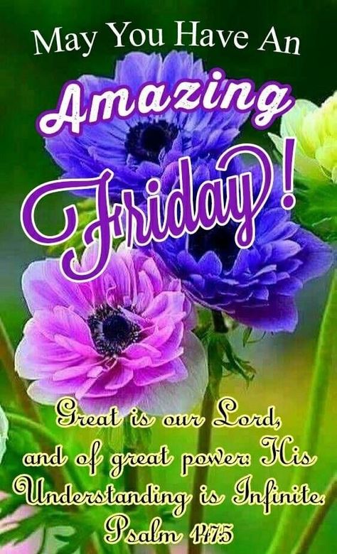 Good Afternoon Friday, Happy Friday Pictures, Friday Inspirational Quotes, Happy Sabbath Images, Friday Morning Quotes, Friday Pictures, Love Good Morning Quotes, Good Morning Happy Friday, Hug Quotes