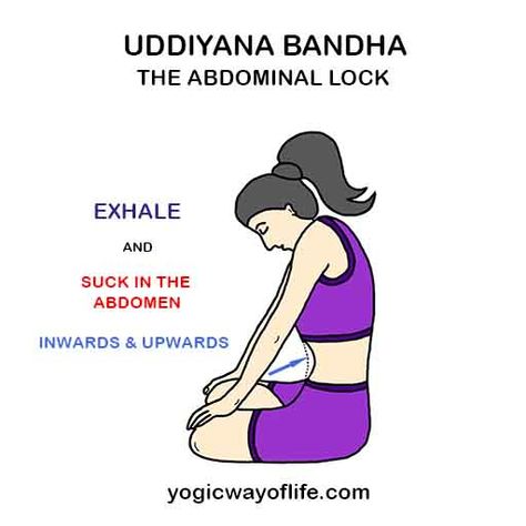 Yoga Bandhas, Uddiyana Bandha, Bandha Yoga, Backbend Poses, Yoga Terms, Yoga Breathing Techniques, Pranayama Techniques, Yoga Steps, Yoga Teacher Resources