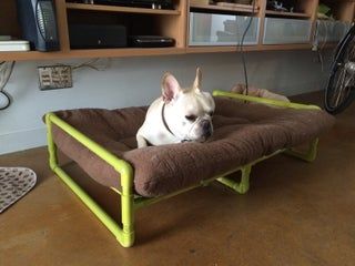 PVC Pipe Raised Dog Bed : 7 Steps (with Pictures) - Instructables Diy Raised Dog Bed, Diy Elevated Dog Bed, Pvc Dog Bed, Raised Dog Bed, Dog Bed Frame, Raised Dog Beds, Australian Labradoodle Puppies, Dog Cots, Lounge Bed