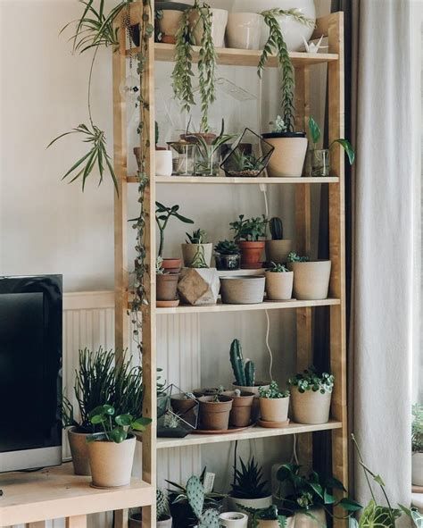 plant shelves - Ecosia Window Shelf For Plants, Plant Shelf Ideas, Tall Plant Stand Indoor, Rustic Plant Stand, Plant Stand Ideas, Indoor Plant Shelves, Plant Room Ideas, Tall Plant Stands, Window Plants