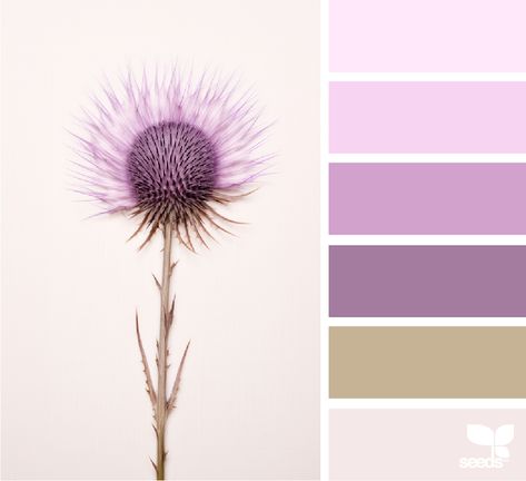 Design Seeds: Thistled Tones Inspiration Color Palettes, Colour Crush, Palette Design, Design Seeds, Color Palette Design, Color Crush, Spring Design, Color Chart, Color Set