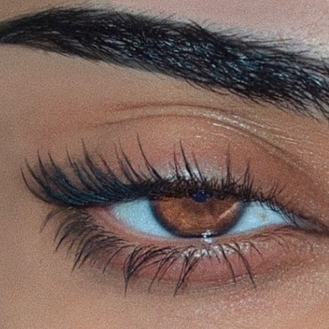 MICHEALLA on Instagram: “up close” Sabrina Carpenter Aesthetic, Carpenter Aesthetic, Brown Eyes Aesthetic, Eyes Aesthetic, Make Your Eyes Pop, Pretty Brown Eyes, Amber Eyes, Beautiful Brown Eyes, Brown Eyed Girls