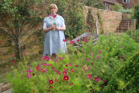 Sarah shows you the different methods she uses to sow cosmos and stake them also. She mentions her favourite varieties for using in the vase for their beauty and productivity. Spiritual Garden Ideas, Front Yard Flowers, Cosmos Bipinnatus, Spiritual Garden, Productive Garden, Sarah Raven, Outdoor Sanctuary, Flower Care, Rose Bush