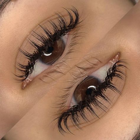 Eyelash Extensions Wet Set, D Curl Lashes Extensions, ต่อขนตา Wet Look, Spikey Lash Extensions, Eyelash Extensions Wet Look, Wet Wispy Lash Extensions, Light Wispy Eyelash Extensions, Wispy Wet Lash Extensions, Wispy Wet Set