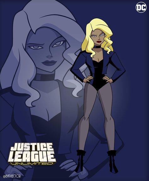 Dc Animation, Arrow Black Canary, Nate River, Heroes Book, Hot Halloween Outfits, Dc Cosplay, Dc Comics Superheroes, Arte Dc Comics, Dc Comics Artwork