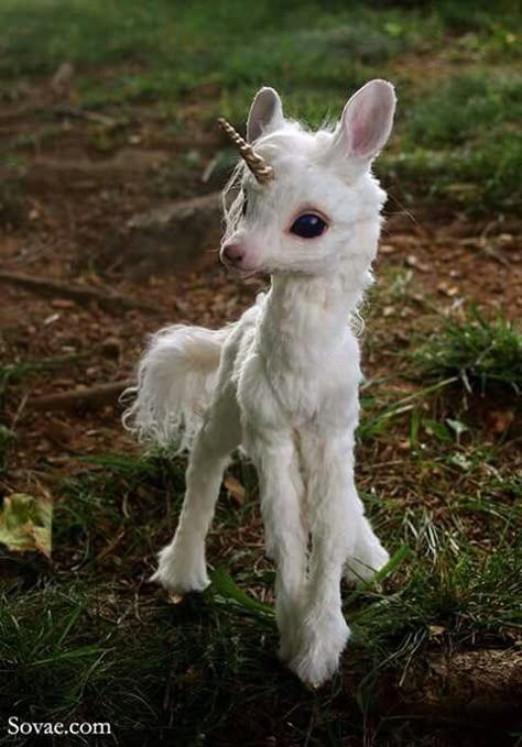 Goaticorn Unicorn Stuff, Unicorns And Rainbows, Unicorn Magic, Cute Fantasy Creatures, Baby Animals Pictures, Baby Unicorn, Fantasy Animals, Baby Animals Funny