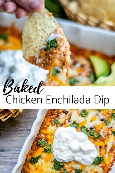 Chicken Enchilada Dip Recipe, Enchilada Dip Recipe, Cheese Beans, Appetizers Mexican, Mexican Easy, Avocado Sour Cream, The Best Baked Chicken, Enchilada Dip, Chicken Enchilada Dip