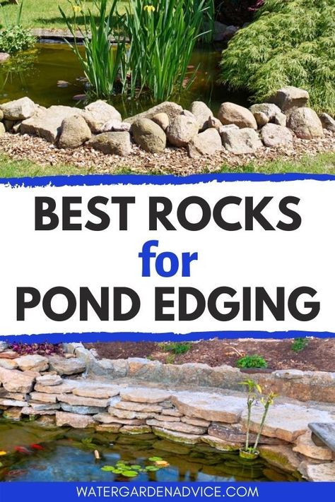 Farm Pond Landscaping, Pond Edging Ideas, Pond Edging, Pond Rocks, Lake Landscaping, Wildlife Pond, Rocks For Garden, Garden Ponds, Aquatic Garden