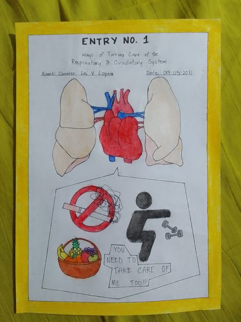 Poster About Taking Care Of Respiratory And Circulatory System, Respiratory System Drawing Easy, Circulatory System Drawing, Respiratory System Drawing, Respiratory And Circulatory System, Respiratory System Poster, Respiratory System Projects, Circulatory System Diseases, Student Posters