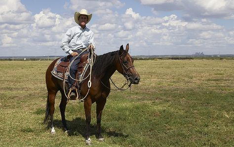 SQL Server: A Resource Roundup Horses Ranch, Stock Horse, Ranch Riding, First Class Tickets, Cowgirl Magazine, Big Horses, Cowgirl And Horse, Photos Of Animals, Horse Trainer