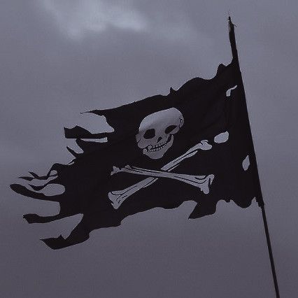 Black And White Pirate Aesthetic, Evil Pirate Aesthetic, Dark Pirate Aesthetic, Pirate Core Aesthetic, Pirate Aesthetic Male, Female Pirate Aesthetic, Dark Pirate, Pirate Core, Pirate Books