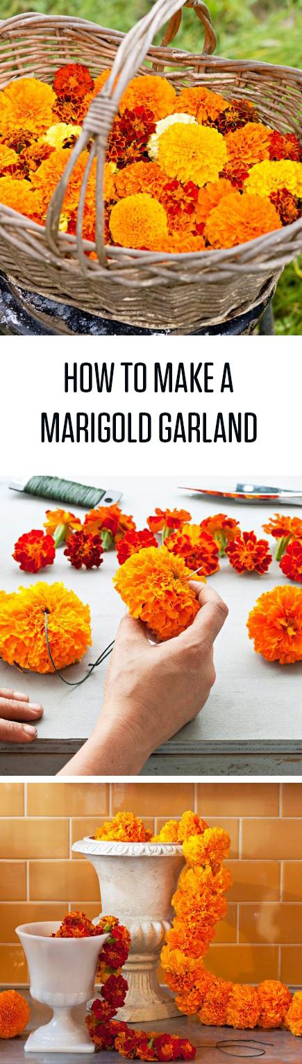 Make a beautiful marigold garland in minutes with our step-by-step instructions! #flowers #DIY Wedding Bouquet Red, Indian Birthday Parties, Marigold Garland, Flower Garland Diy, Indian Wedding Flowers, Arts And Crafts Interiors, Flowers Wedding Bouquet, Arts And Crafts For Teens, Red Bouquet Wedding