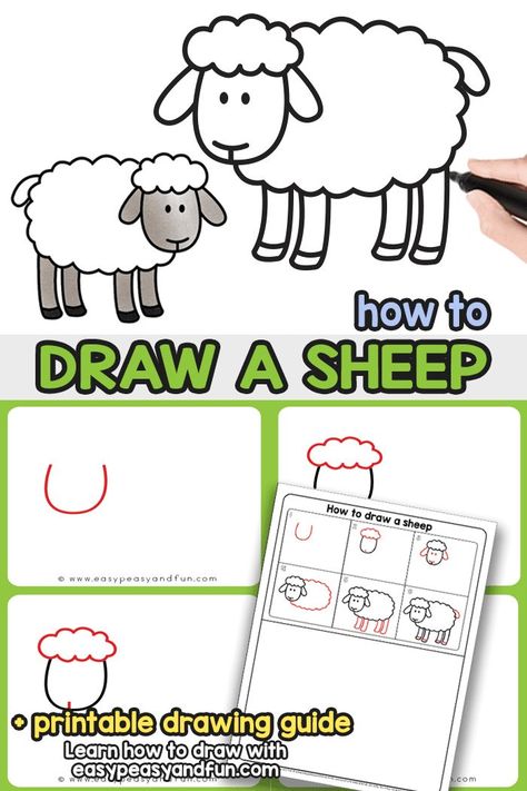 How to Draw a Sheep Step By Step Drawing Tutorial. This easy sheep drawing tutorial (with directed drawing printable) will have you learn how to draw a sheep in no time. Draw A Sheep, Draw A Cow, Sheep Drawing, Drawing Videos For Kids, Cow Drawing, Easy Drawing Steps, Directed Drawing, Kid Styles, A Sheep