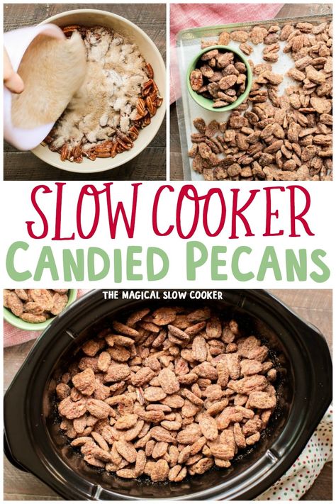 These Slow Cooker Candied Pecans are perfect for a snack or for gift giving. This recipe makes plenty - The Magical Slow Cooker Crockpot Praline Pecans, Candied Pecans In Crockpot, Crockpot Candies Pecans, Candied Pecans Crockpot Easy, Crockpot Pecan Candy Recipes, Candy Pecans Recipe Easy Crockpot, Crock Pot Pecans Candied, Pecan Crockpot Candy, Crock Pot Candied Pecans