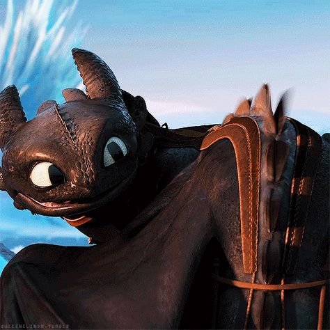 Excited about your new spikes,huh? Dragon Gif, Httyd Toothless, Dragons Riders Of Berk, Night Fury Dragon, Httyd 2, Dragon Icon, Httyd Art, Toothless Dragon, Hiccup And Toothless