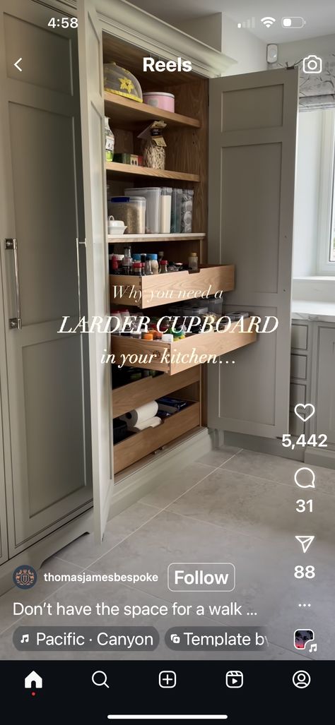 Larder Cupboard, Walk In Pantry, A Kitchen, Pantry, Cupboard