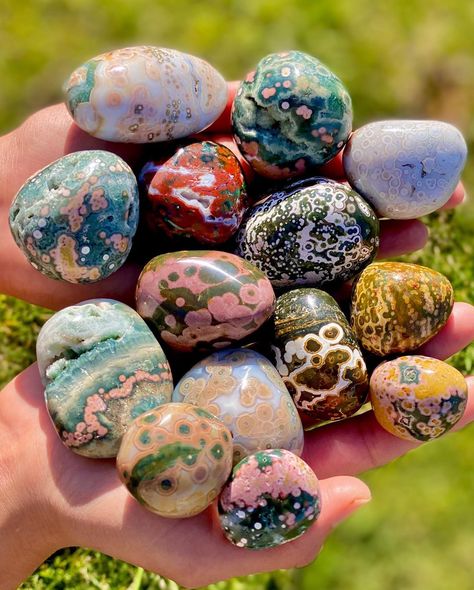 Jasper Jewelry, Cool Rocks, Minerals And Gemstones, Rocks And Gems, Shiny Things, Ocean Jasper, Rocks And Crystals, Crystals And Gemstones, Geology