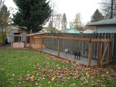 I like the concrete paver run, not sure about the traingular ara to the left. Dog Run - Completed with Dogs Added by MacSquiz, via Flickr Outdoor Dog Area, Diy Dog Run, Outdoor Dog Runs, Backyard Dog Area, Dog Potty Area, Dog Backyard, Dog Kennel Designs, Dog Run, Dog Spaces