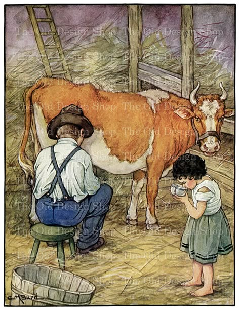 Farm Prints, Milk The Cow, Cow Illustration, Farm Art, Cow Art, The Cow, Vintage Farm, Childrens Illustrations, Childrens Art