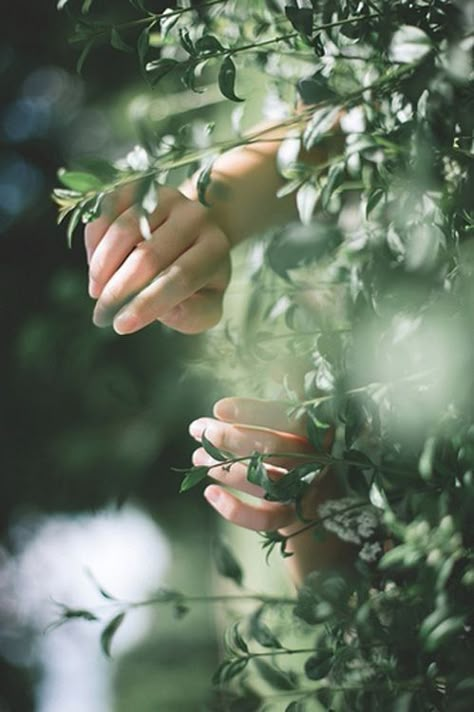 Hand Photography, The Ancient Magus Bride, The Raven Cycle, Raven Cycle, Character Aesthetics, Grand Art, Green Gables, The Raven, 인물 사진