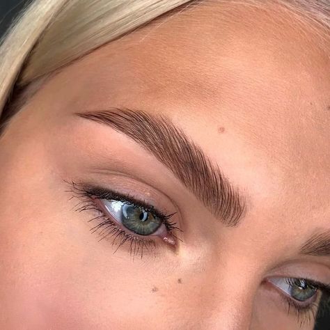 Diseño de cejas Thick Eyebrow Shapes, Mircoblading Eyebrows, Blonde Eyebrows, Eyebrow Styles, Brow Studio, Hd Brows, Tinted Brow Gel, Thick Eyebrows, Brow Lift