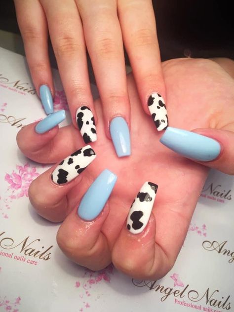 Black And Blue Nails Acrylic, Blue Cow Print Nails, Nails Cow Print, Blue Gold Nails, Black And Blue Nails, Blue Cow Print, Almond Blue Nails, Neutral Nails Acrylic, Cow Print Nails