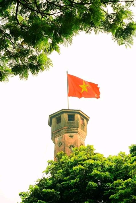 Vietnam Flag Wallpaper, Vietnam Wallpaper, Hello Vietnam, Vietnam Aesthetic, Vietnamese Flag, Destop Wallpaper, Vietnam Flag, Studio Ghibli Background, Art Diary