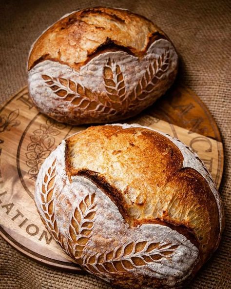 Sourdough Art, Scoring Patterns, Bread Scoring Patterns, Sourdough Scoring, Bread Scoring, Culinary Cooking, Homemade Sourdough Bread, Homemade Bread Easy, Sourdough Starter Recipe