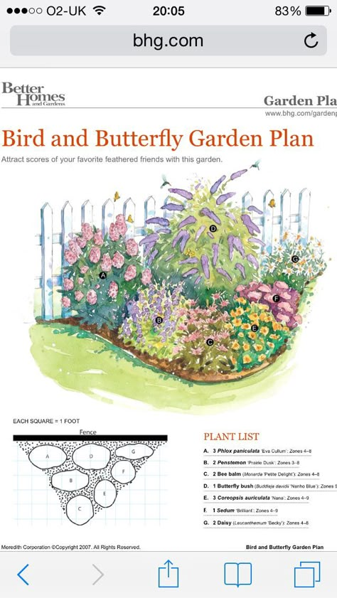 Small Wild Flower Garden Ideas, Corner Wildflower Garden, Georgia Wildflower Garden, Small Rectangle Flower Bed, Corner Perennial Garden Ideas, Butterfly Garden Ideas Flower Beds, Shade Butterfly Garden, Small Pollinator Garden Design, Easy Pollinator Garden