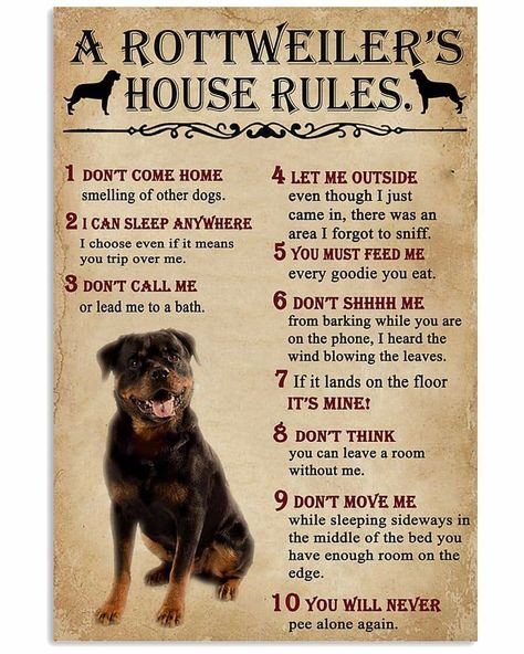 House Rules Poster, Rottweiler Care, Rottweiler Quotes, Homemade Doggie Treats, Plants Hacks, Rottweiler Pictures, Rottweiler Facts, Dog Shelters, Rottweiler Funny