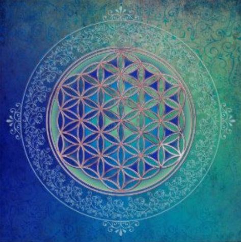 Nature Mandalas, Scared Geometry, Spirit Energy, Mother Nature Tattoos, Natural Form Art, Geometry In Nature, Yoga Studio Design, The Flower Of Life, Sacred Geometric