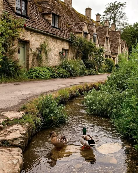 Cotswolds Cottage, England Countryside, Countryside Cottage, Irish Countryside, Cottage Aesthetic, English Village, Countryside House, British Countryside, Dream Cottage