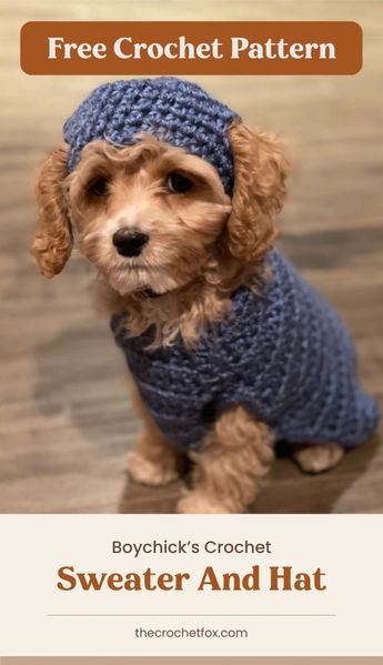 Make this adorable set of crochet dog sweater with a matching crochet dog hat that will make your bestfriend look extra cute and feel extra warm.This easy crochet pattern is available in four sizes and makes for a great crochet project for beginners who would like a little more challenge.| More free crochet patterns at thecrochetfox.com Crochet Beanie For Dogs, Crochet Toy For Dog, Crochet Dog Clothes Free Pattern, Dog Beanie Crochet, Dog Beanie Pattern, Dog Hat Crochet Pattern, Crochet Dog Accessories, Crochet Dog Hat Free Pattern, Crochet Project For Beginners