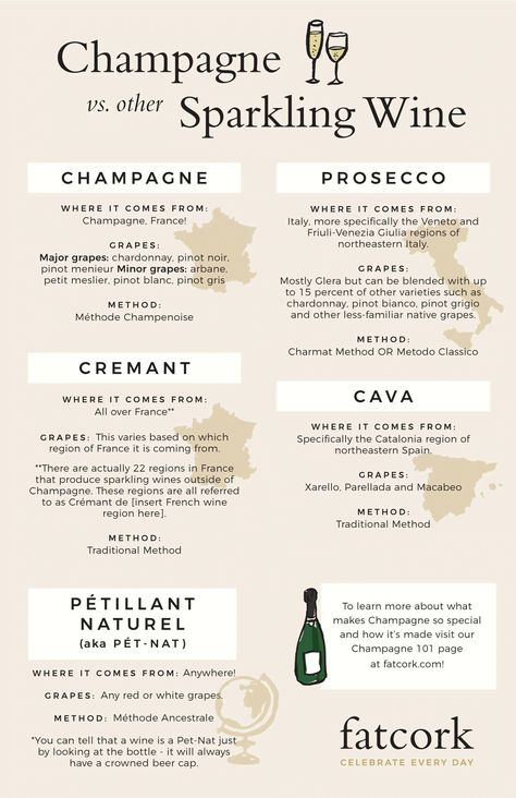 Champagne And Food Pairing, Champagne Pairing Food, Champagne Cheat Sheet, Sparkling Wine Pairing, Beginner Wine Guide, Champagne Brands, Pinot Blanc, Culinary Cooking, Champagne Drinks