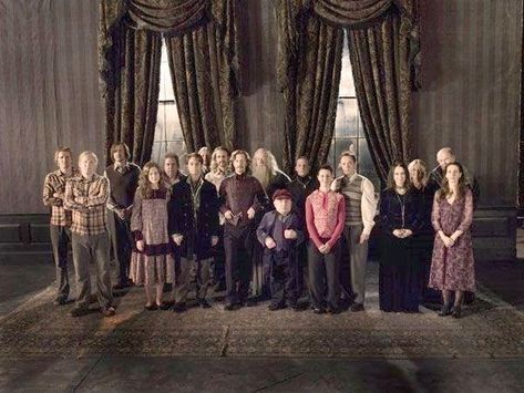 Harry Potter Order, Imprimibles Harry Potter, Glume Harry Potter, Theme Harry Potter, Neville Longbottom, Images Harry Potter, Harry James, Harry James Potter, George Weasley