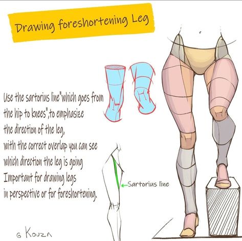 Leg Foreshortening, Leg Anatomy, Female Anatomy Reference, Drawing Legs, Anime Fyp, Drawing Female Body, Million Subscribers, Anatomy Tutorial, Human Anatomy Drawing