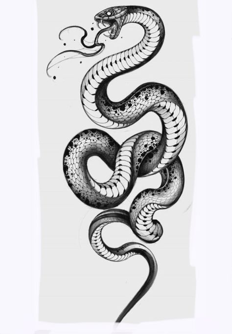 Sketch Snake, Rattlesnake Tattoo, Japanese Warrior Tattoo, Snake Sketch, Japanese Snake Tattoo, Medieval Tattoo, Mens Shoulder Tattoo, Snake Tattoo Design, Old School Tattoo Designs